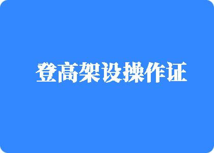 打几把草逼视频登高架设操作证